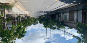 Mặt tiền kinh doanh ngay Tân Hiệp 10, Xã Tân Hiệp Hóc Môn, 150m2 chỉ 3,8 tỷ