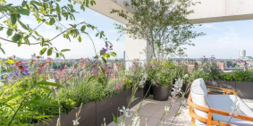 THIẾT KẾ ƯU VIỆT KHÔNG GIAN THƯƠNG MẠI & AN CƯ TẠI TỔ HỢP THE SHOLI