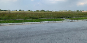 Chuyển nhượng lô đất 9000m2 kcn Thuận Thành, đất bàn giao ngay, ký trực tiếp CĐT