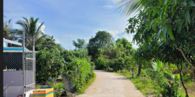  Bán gấp nền: 234m² (5m x 46m, thổ 100m²)  Đường đan 3m, xã Mỹ Xương