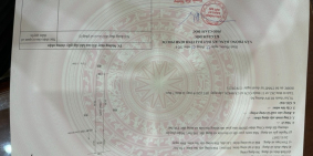 Bán gấp mặt tiền kinh doanh (5x50)=250m² nở hậu SHR mặt tiền nhựa, đối diện cty,