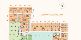 Cho thuê Shophouse căn hộ Ricca. Khu vực đông dân cư. Tiện mở VP, spa, cafe