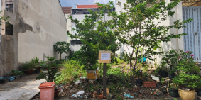 BÁN ĐẤT NỀN KDC GIA HOÀ BÌNH CHÁNH, GIÁ 7.2 TỶ