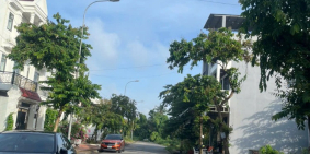 Bán Nền Đường B36, Khu Dân Cư 91B, An Khánh, Ninh Kiều, TP. Cần Thơ. Giai đoạn 3