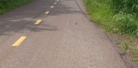 Bán gấp lô đất mặt tiền đường nhựa, giá chỉ 800 triệu gần trung tâm, SHR