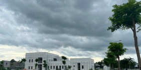 Bán Đất nền Phường Hòa Lợi, Bến Cát, Bình Dương Dt 5x16 80m2 Thổ cư giá rẻ