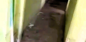 Bán nhà cấp 4 101m2 2pn hẻm 5m đường số 5 Linh Xuân