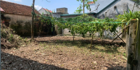 Chính chủ cần bán đất thổ cư sổ đỏ  tại Thôn An Khoái-Dân Hoà-Thanh Oai-Hà Nội