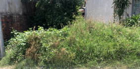 Bán lô đất đầu tư full thổ cách QL26 50m giá chỉ 650tr