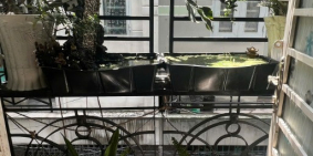 Hot! Bán nhà SH riêng Mai Hắc Đế, Quận 8, 4PN, HXH, full NT giá 3,86 tỷ