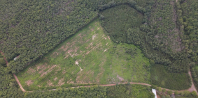 Chủ Gửi Bán Đất Quy Hoạch SKC Bắc Tân Uyên