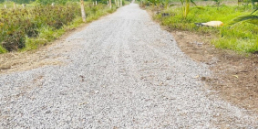 535tr đất vườn 1000m2 , đường xe hơi tới đất