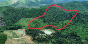 5.6ha có suối đường xe bán tải cách dân cư 1.2km giá 850tr tại khánh hòa