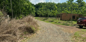 Bán 3 xào cao su, tặng nhà cấp 4,Ngay Tỉnh Lộ 758 Tân Hưng, Hớn Quản, 265tr