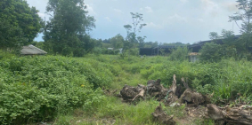 vỡ nợ cần bán 1925m2 qh hồng giang điền trảng bom ngộp 2 tỷ 9 tl shr