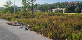 Bán đất khu đô thị Lạc Phú 1, Yên Dũng, Bắc Giang. 240m2, MT 15m. Đường 12m. Giá