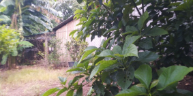 Bán lô đất 8.6m mặt tiền cách biển 5km gần tthc & tdtt huyện.