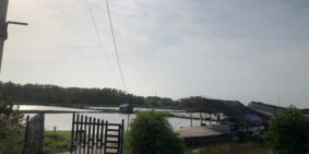 Bán đất nuôi trồng thuỷ sản diện tích 12,644m2 chính chủ