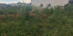 Ngộp NH bán gấp lô đất 367,7m2 mặt tiền đường Nguyễn Công Trứ P 2 Tp Bảo Lộc