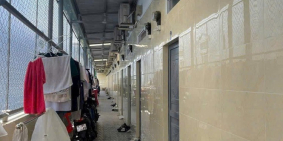 Bán 15 căn Minihouse Mặt Tiền Mậu Thân ND, An Hoà, Quận Ninh Kiều, Cần Thơ