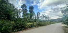 Bán Đất Mặt Tiền Đường Thanh Sơn, Định Quán, Đồng Nai