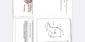 Đất cát đen thích hợp các loại cây trồng ngắn ,dài ngày