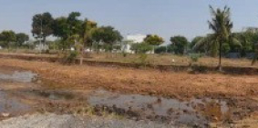 Bán đất chính chủ tại 128a Đường Trường Lưu, P.Long Trường, Quận 9, TP. Thủ Đức