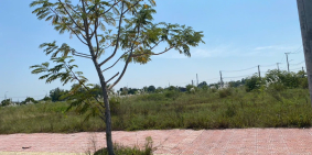 Bán Đất Nền liền kề sổ đỏ RIVERIA khu đô thị Hội An - Gía chỉ 2,X tỷ Bán Căn Hộ