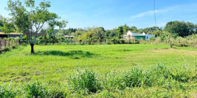 Bất Động Sản Giá Rẻ Tại Củ Chi