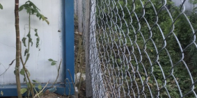 Bán đất trồng cây sổ chung có nhà tôn nhỏ 18m2