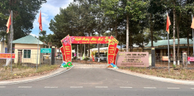 Đất Mặt Tiền Tỉnh Lộ (11x60=608m²) Sẵn 200m² Thổ Cư Hòa Phú Thủ Dầu Một 460tr