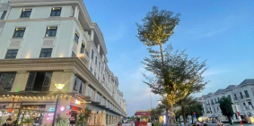 Chuyên cho thuê mặt bằng kinh doanh vinhomes grand park tất cả vị trí