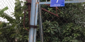 Số 7 Trần Thị Giang - Đất vườn, trồng cây HNK