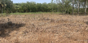 Thanh lý đất Bình Dương - Chính chủ - Giá cực tốt - Sinh lời cao