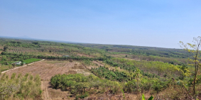 Bất động sản giá rẻ tại bình phước ( đất sào)