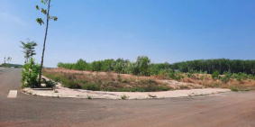 Đất Bình Phước mặt tiền đường liên xã (10m) sát khu dân cư Thái Thành Thuận Lợi