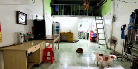 chung cư Cư Xá Điện Lực, Trường Thọ 32m2 có gác, thuê rẻ chỉ 4tr/tháng