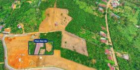 420 triệu sang tên cho người thân đi nước ngoài