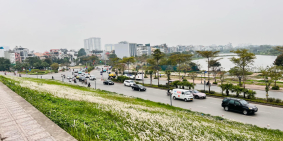 BÁN ĐẤT MẶT PHỐ TƯ ĐÌNH – LONG BIÊN, 114m², mặt tiền 8m