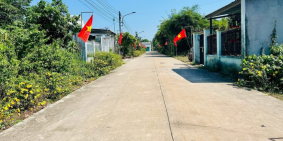 600 triệu có ngay miếng đất gần chợ An Linh – 100m2 thổ cư, ô tô tới tận nơi