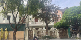 Bán biệt thự BT8 mặt phố Bùi Thiện Ngộ, 228m2 vip nhất khu đô thị Việt Hưng