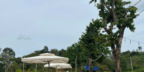 Bán đất Đang Kinh Doanh Buôn Bán ấp Bàu Chim, Xã Phú Xuân, Tân Phú Đồng Nai