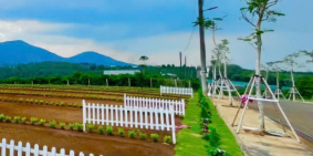 SỐT ĐẤT DI LINH LÔ ĐẸP, VIEW ĐẸP, GIÁ CHỈ 286TR ĐỪNG BỎ LỠ!