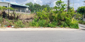 Đất mặt tiền đường Châu Pha Bà Rịa giá rẻ khu dân cư đông