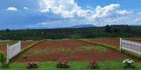 ĐẤT NÊN NGHỈ DƯỠNG BẢO LỘC SỔ SẴN