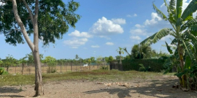 Bán 1441 m2 đất mặt tiền đường DT833 (gần Cây xăng Tân Phước), giá 7.5 tỷ TL