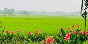 Chính chủ bán lô đất 750m2  mặt đường liên xã tại Lương Sơn Hoà Bình.