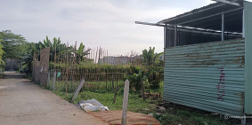 Đất Bình Mỹ xe hơi thông, 10x12,5m dựng nhà ở liền. 590tr