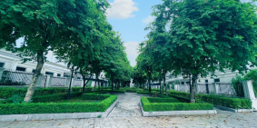 Cập nhật quỹ căn chuyển nhượng giá tốt nhất Louis City Đại Mỗ, tháng 8/2025.