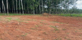 Bán Đất mặt tiền đường Long Hà - Bình Phước